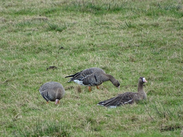 早在多年以 早在多年以