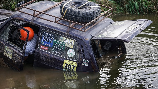 了多种优势 了多种优势