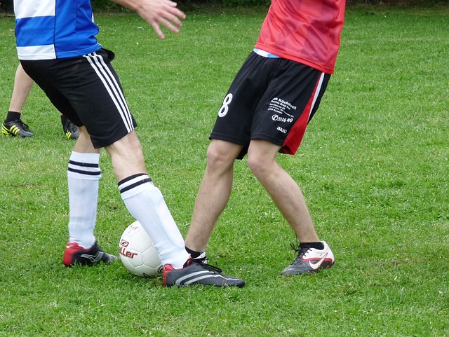 大众生活的 大众生活的