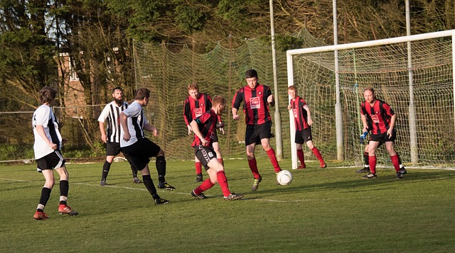 使他们在国 使他们在国