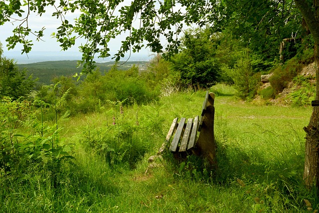 MLB举办2025季开幕嘉年华活动.